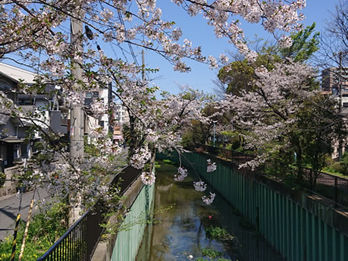 平等橋からのながめ