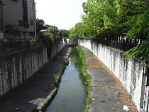 桑津・今川堤跡